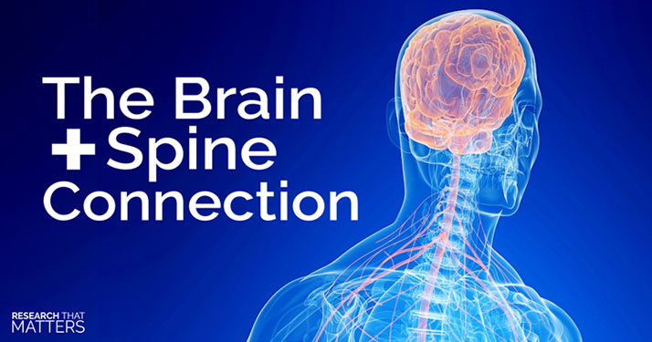 Chiropractic Georgetown ON Brain and Spine Connection