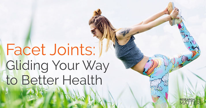 Chiropractic Georgetown ON Facet Joints