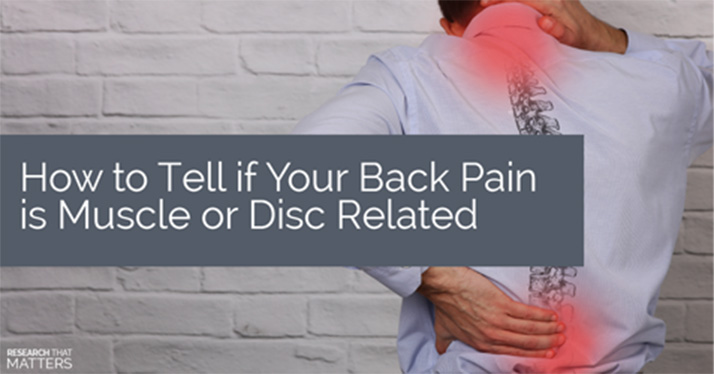 Chiropractic Georgetown ON Muscle or Disc Pain
